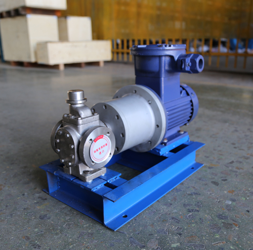 圓弧齒輪泵YCB10-1.6整機(jī)、配磁力聯(lián)軸器.JPG